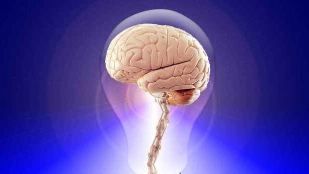 El cerebro humano puede predecir el futuro