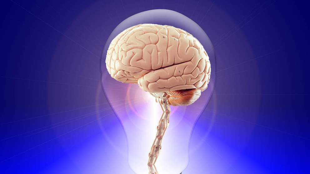 El cerebro humano puede predecir el futuro