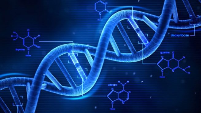 Watson y Crick, los descubridores del ADN