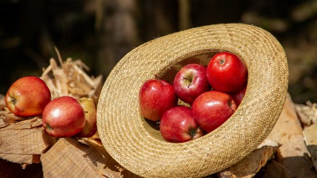 Receta de manzanas asadas con pimienta negra y orégano