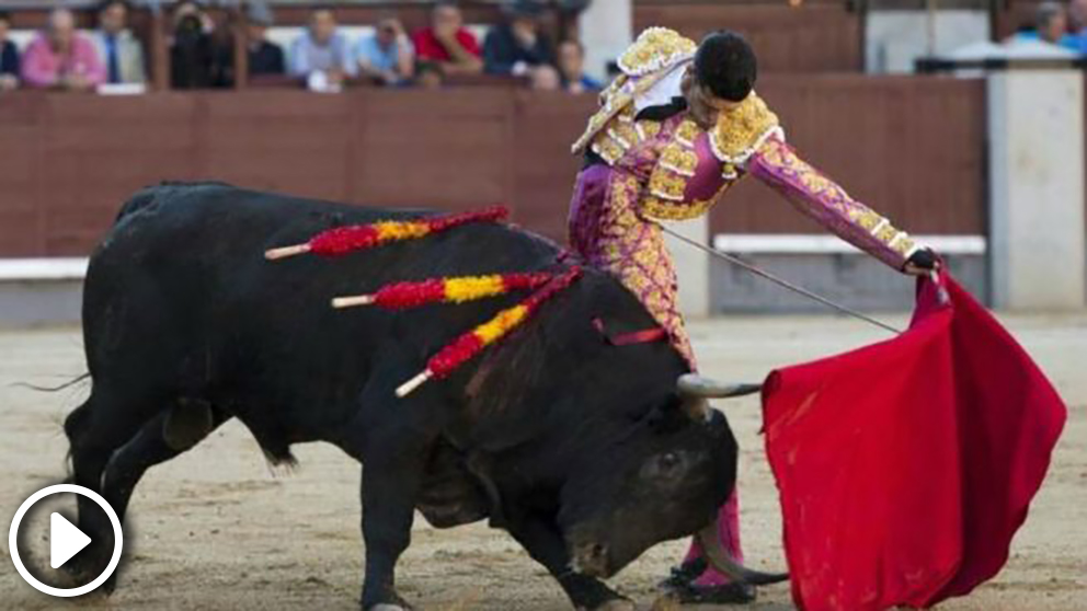 toros-fiestas-del-pilar-2-655×368 copia