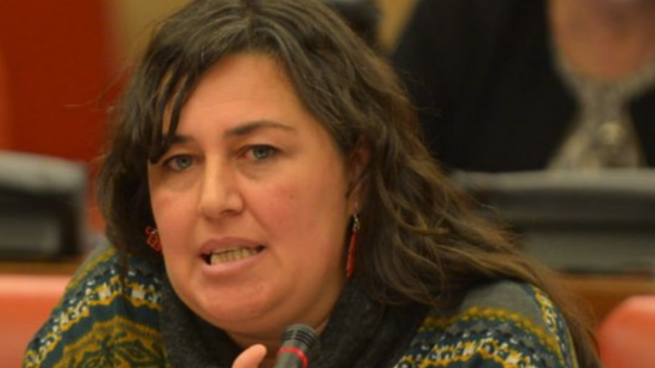 Auxiliadora Honorato, diputada de Podemos en esta legislatura.