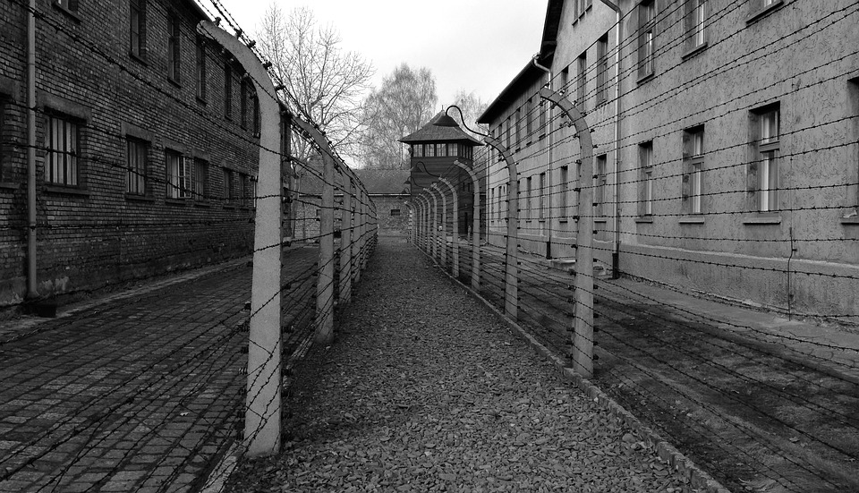 Auschwitz, un campo que nunca debió existir.