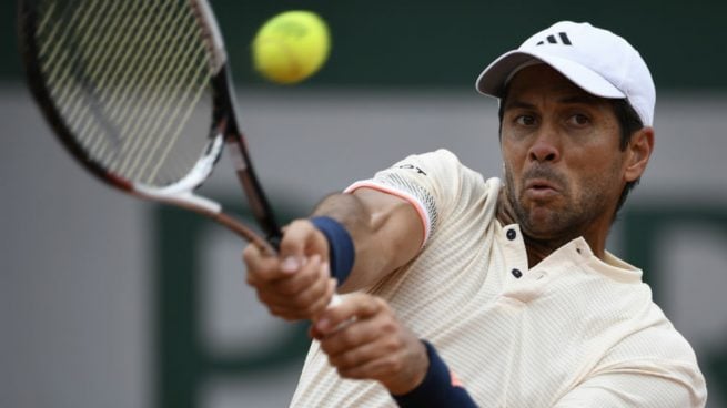 fernando verdasco