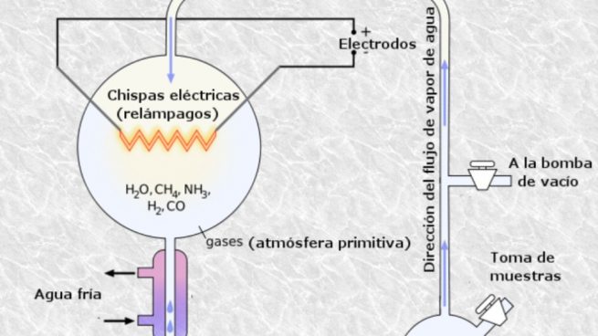 Experimento de Miller: ¿En qué consiste?