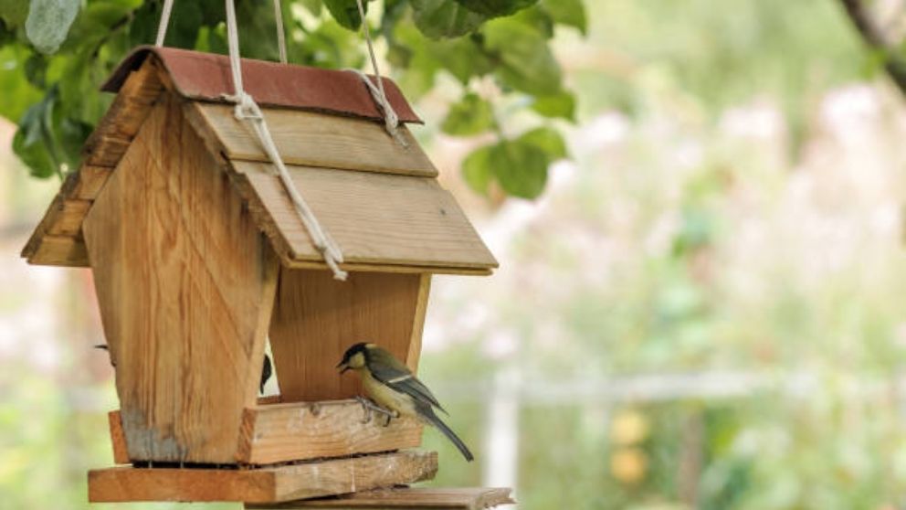 hacer una casa para pájaros fácil paso a paso