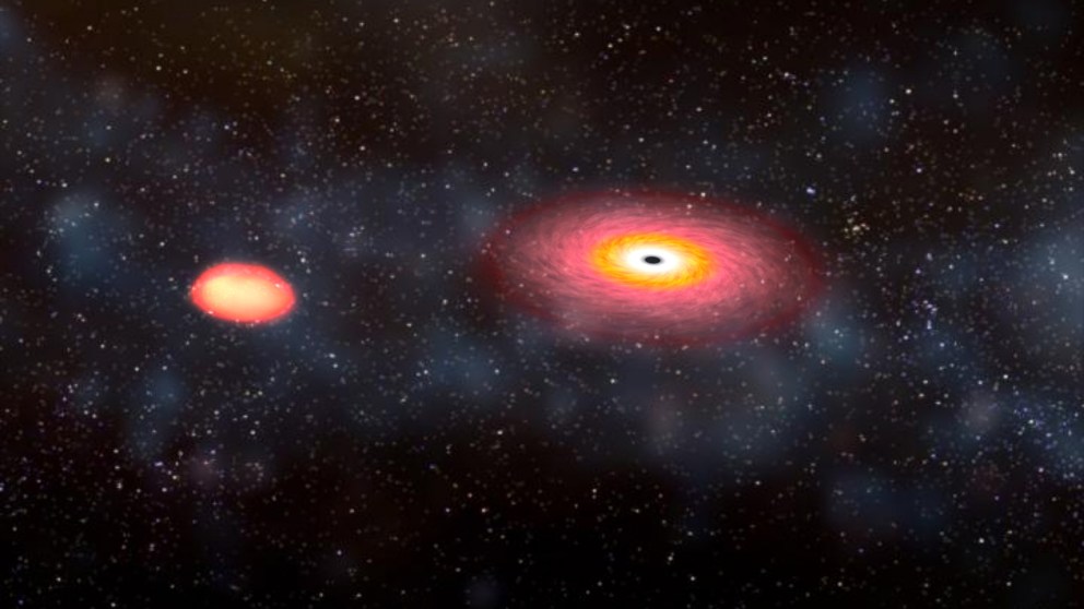 ¿Puede una estrella orbitar un agujero negro?