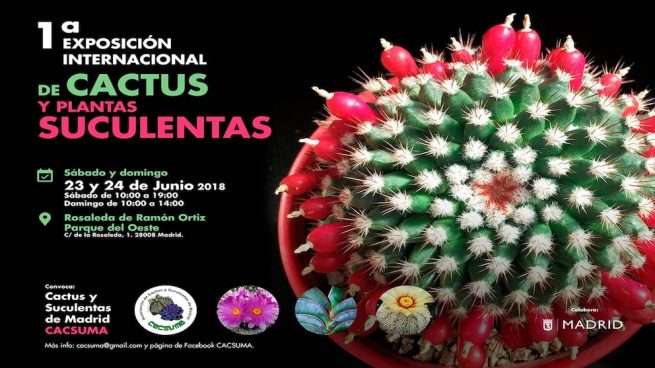 Exposición de cactus