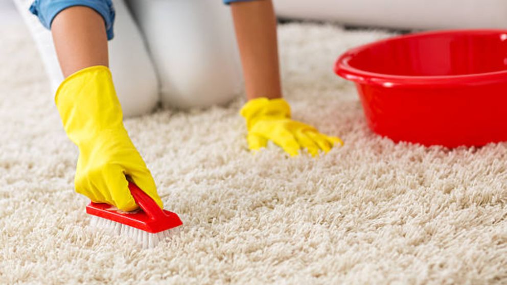 Granjero Pólvora Arqueológico Cómo limpiar una alfombra de manera correcta paso a paso