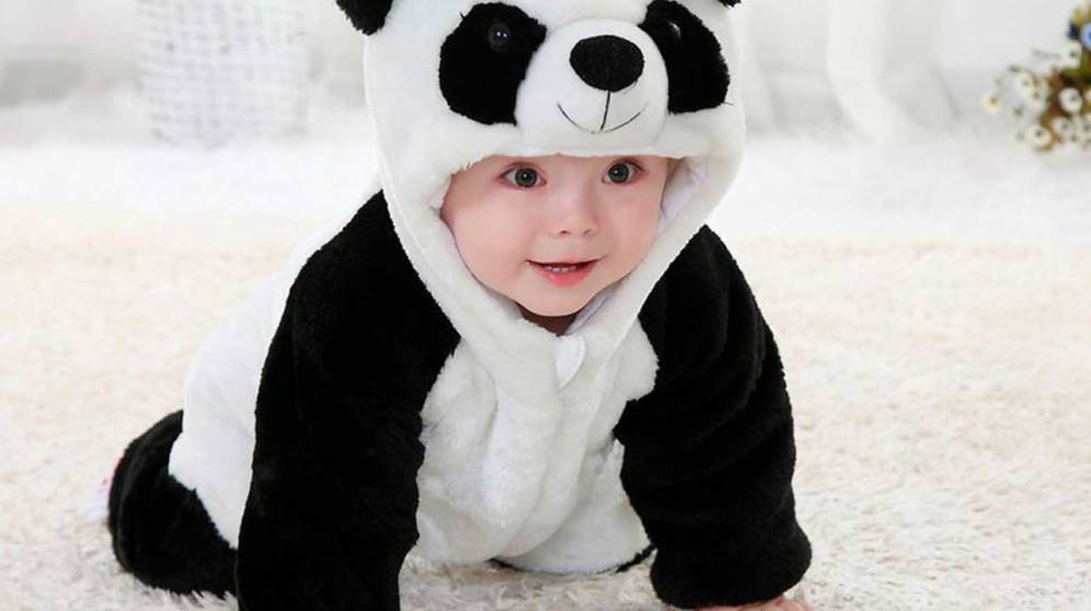 Aprende aquí a hacer un disfraz de oso panda casero fácilmente