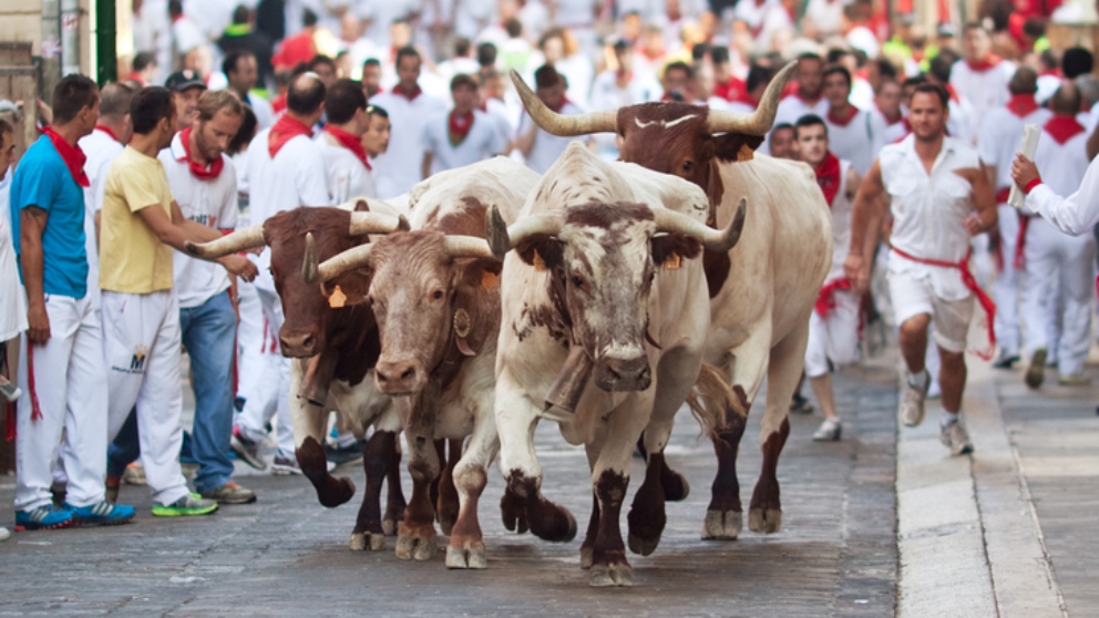 Encierros de San Fermín 2018 ¿Qué ganadería corre cada día?