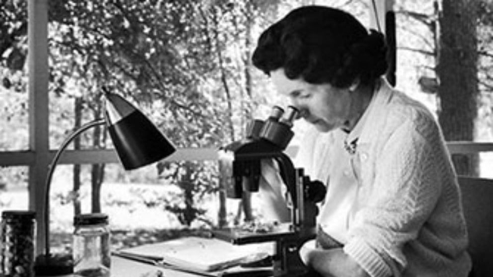 Frases célebres de Rachel Carson