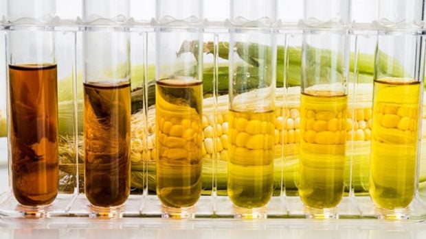 biodiesel casero