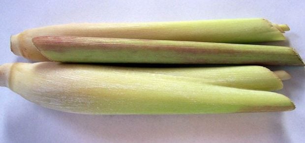 lemongrass