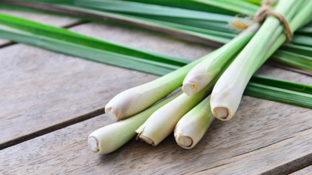 lemongrass