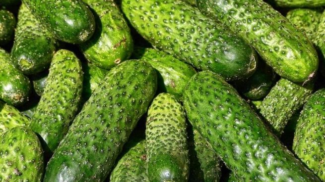 Pepino piel del propiedades con