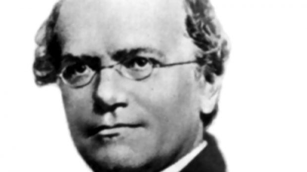 Gregor Mendel
