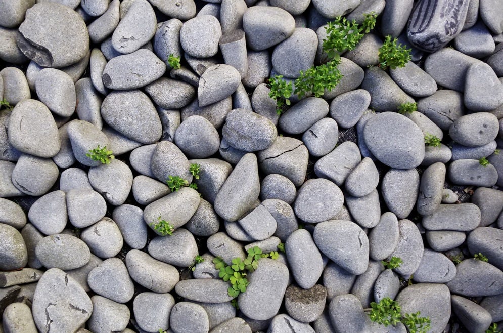 Cómo hacer un muro de piedra en tu jardín u otro espacio exterior