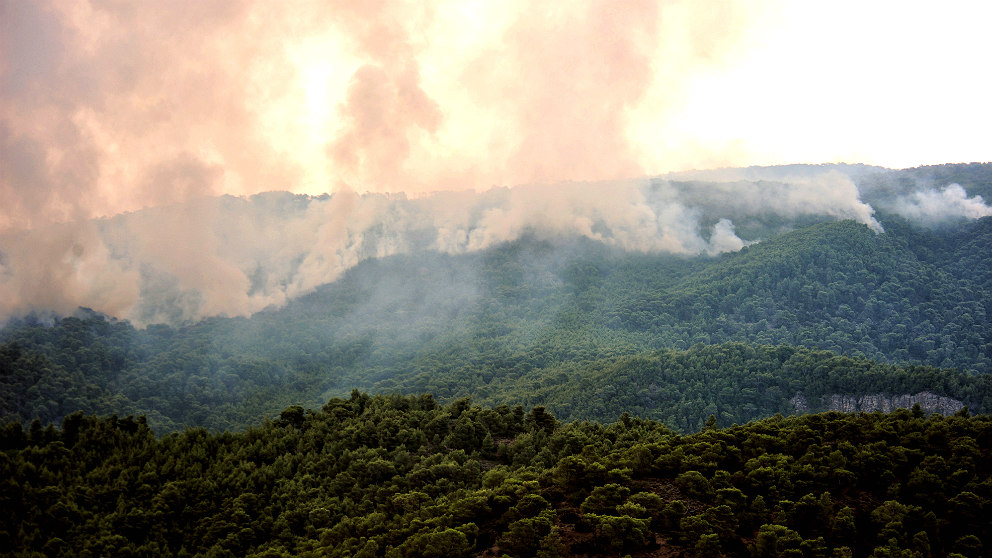 Las primeras llamas de los incendios de Grecia fueron en Kineta, cerca de la capital, Atenas. (AFP)