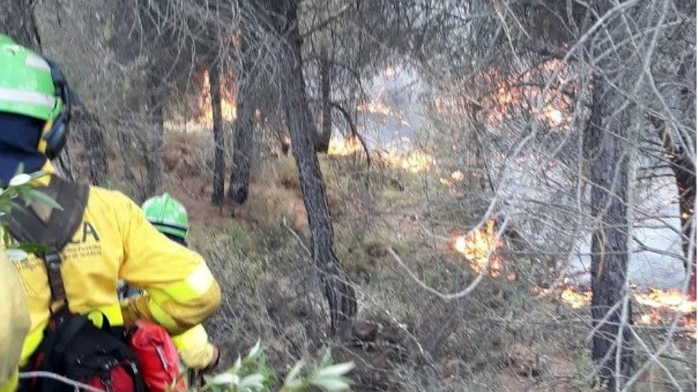 Operarios del Infoca luchan contra las llamas del incendio de Nerva (Huelva). (Foto: Infoca)