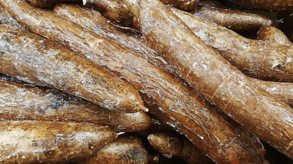 La yuca posee propiedades que beneficiarán a la salud de tu organismo.