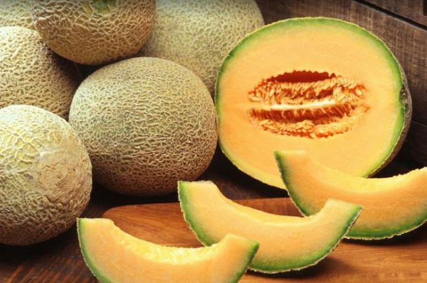 Resultado de imagen para melon