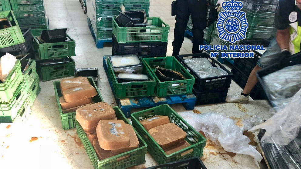 Imagen facilitada por la Policía Nacional en la que se ven los bloques de comida congelada donde se ha intentado transportar la cocaína incautada.