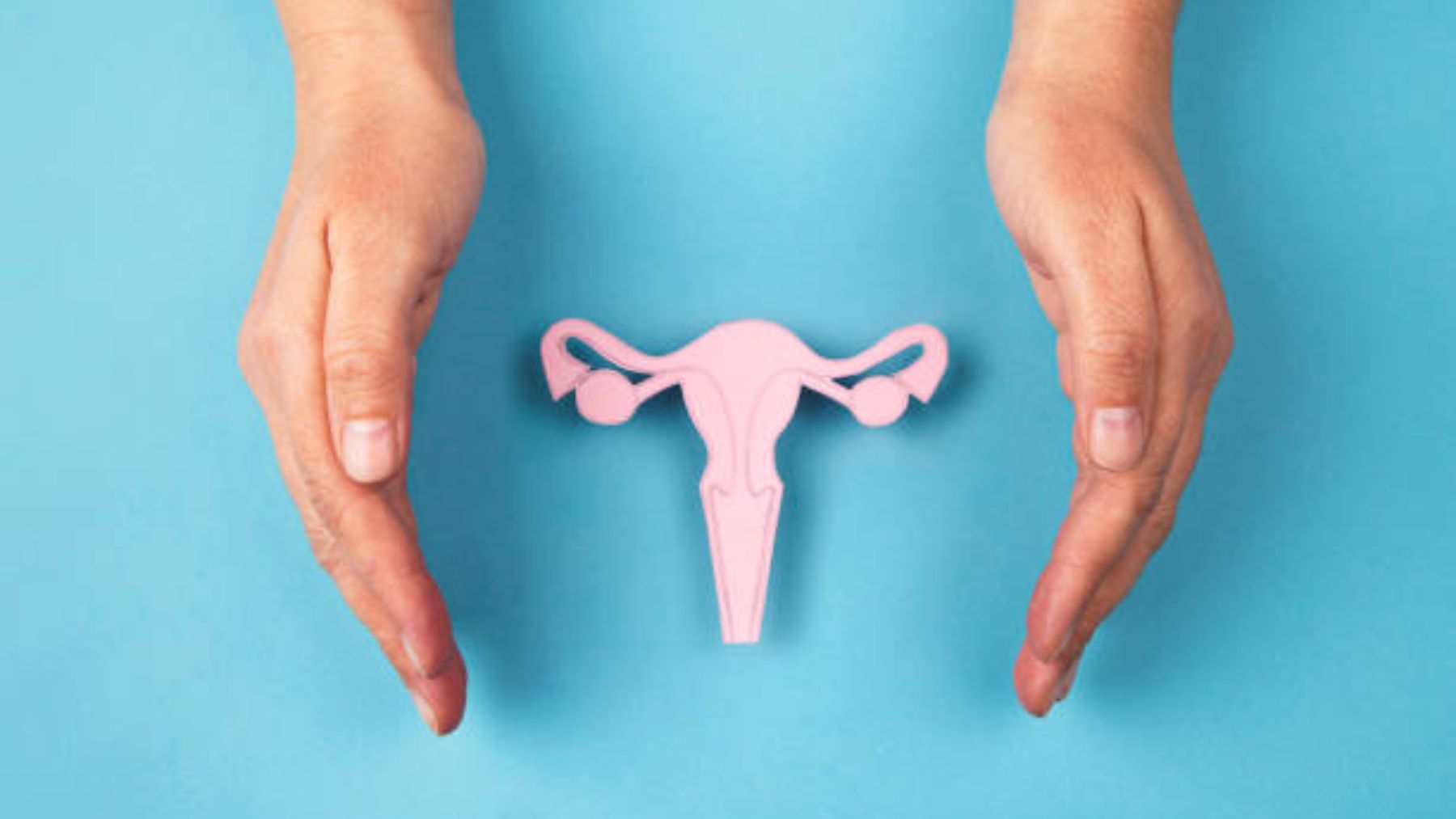 Descubre de qué modo cambia la vagina durante el embarazo