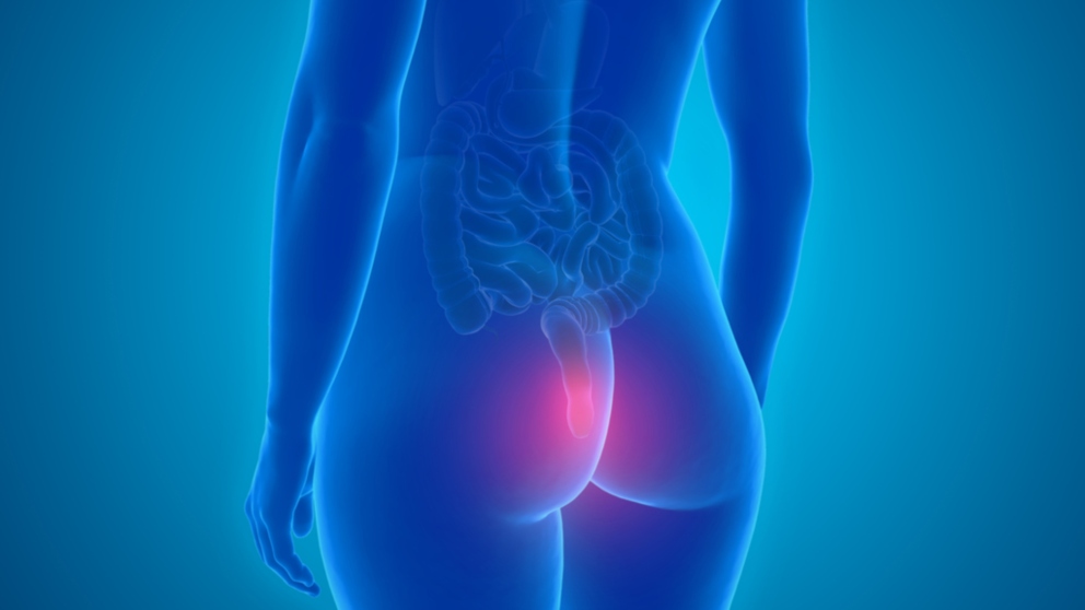 El recto es la última zona del intestino grueso