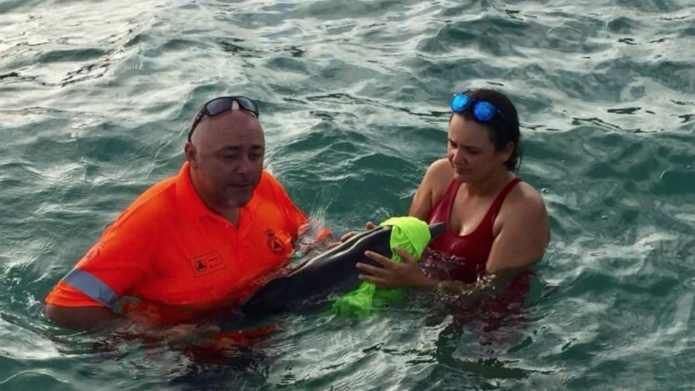 Una bañista y un miembro de equipos de rescate con la cría de delfín rescatada en la Manga del Mar Menor, en Murcia.