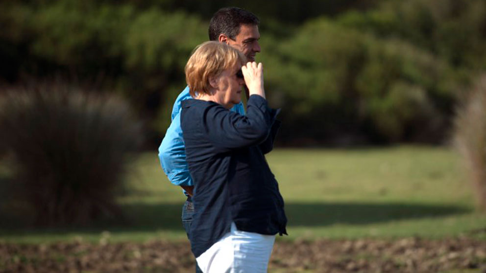 Angela Merkel y Pedro Sánchez en una reunión durante el verano en el coto de Doñana. Foto: AFP