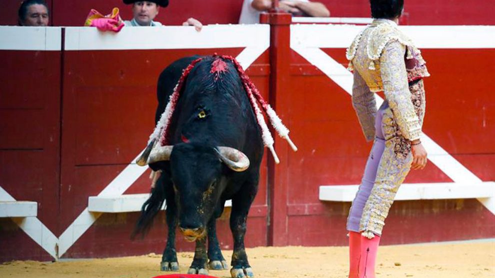 El diestro peruano Roca Rey durante el cuarto festejo taurino de la Feria de la Semana Grande de San Sebastián, hoy en el coso de Illumbe de la capital donostiarra. Foto: EFE