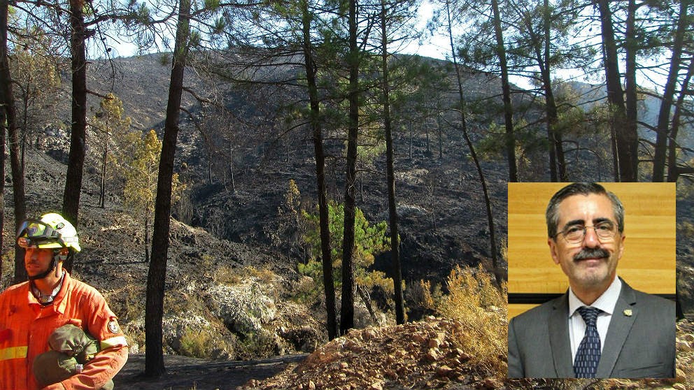 Los montes quemados del incendio de Llutxent y José María Ángel, director de Emergencias de la Comunidad Valenciana.