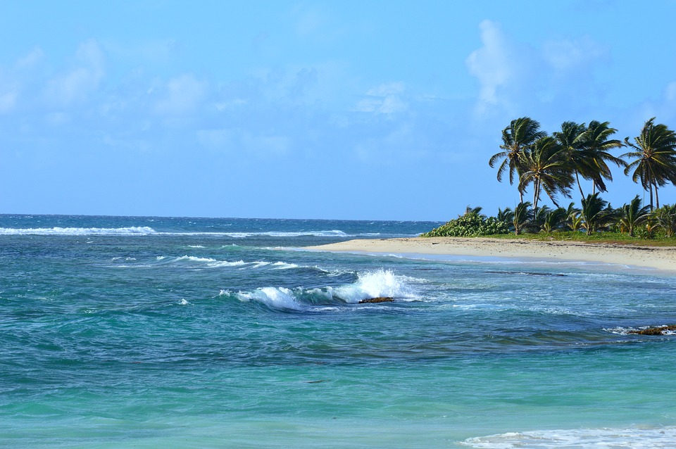 Los vientos alisios azotando una playa tropical.
