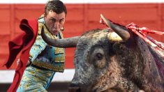 Octavio Chacón durante una de sus faenas (Foto: EFE).