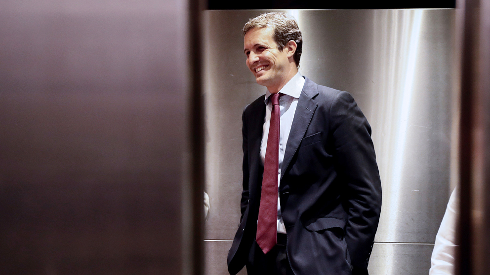 Pablo Casado, presidente del PP. (Foto: EFE)