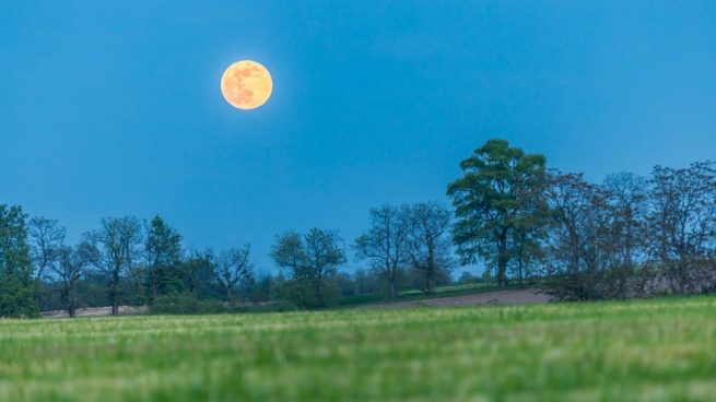 Qué fase de la Luna es buena para sembrar? Qué fase de la Luna es buena para sembrar?