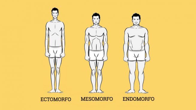 Diferencias Existentes Entre El Cuerpo De La Mujer Y El Hombre Esta