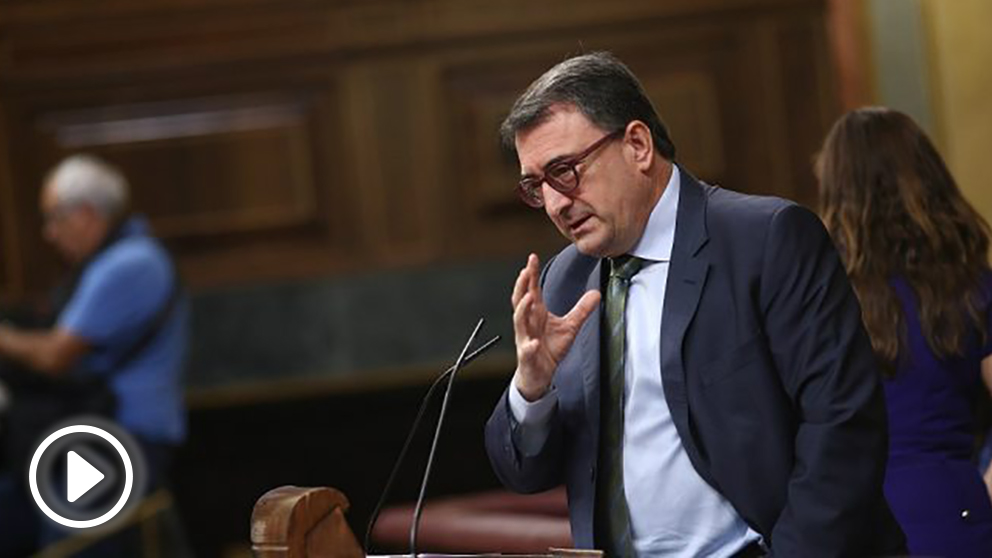 Aitor Esteban, portavoz del PNV en el Congreso. (EP)