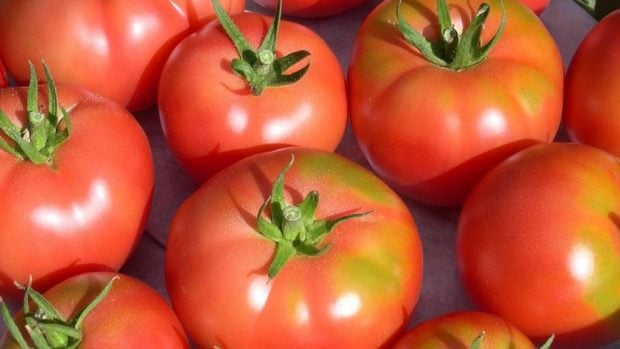 Tomate
