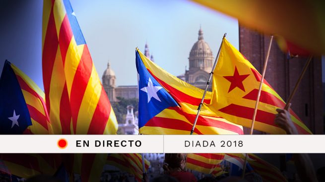 manifestacion diada cataluña