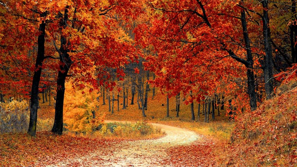 Arranca el equinoccio de otoño