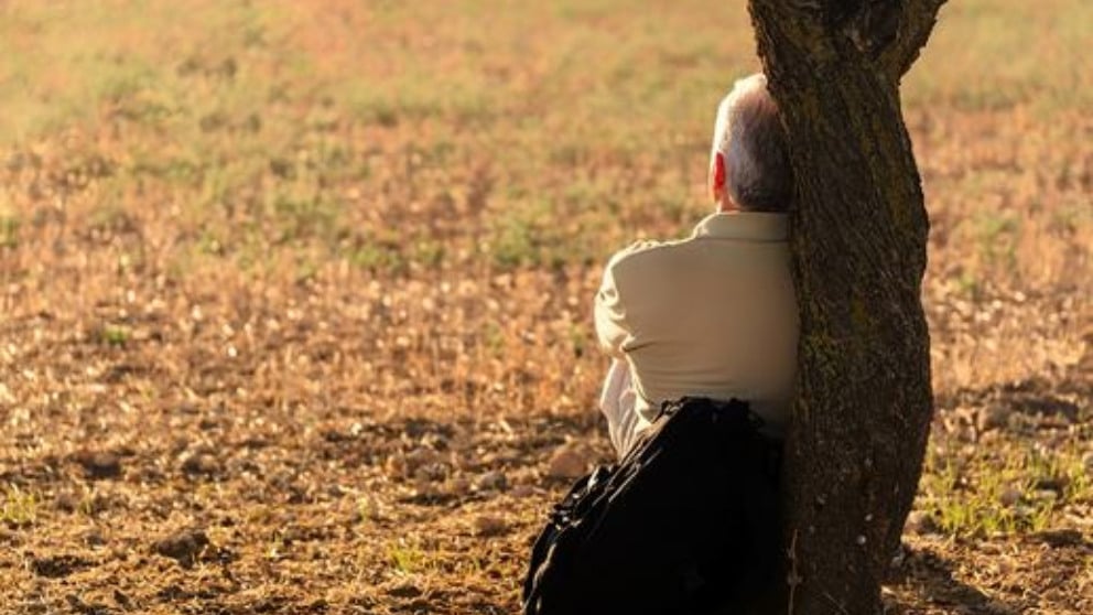 Día del Alzheimer 2021: síntomas, fases, tratamiento y tipos de Alzheimer