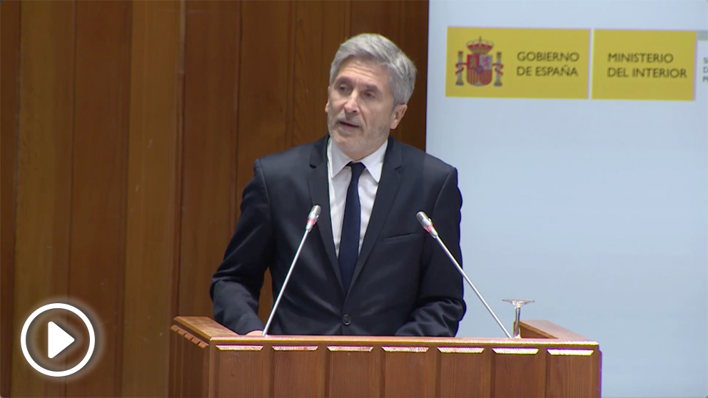 Fernando Grande-Marlaska, ministro del Interior. (EP)