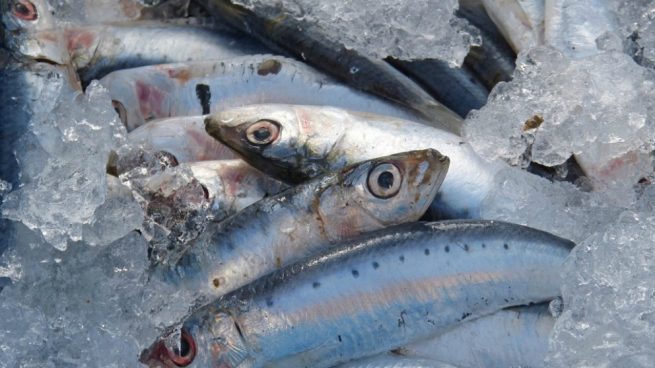 comer sardinas en el postparto