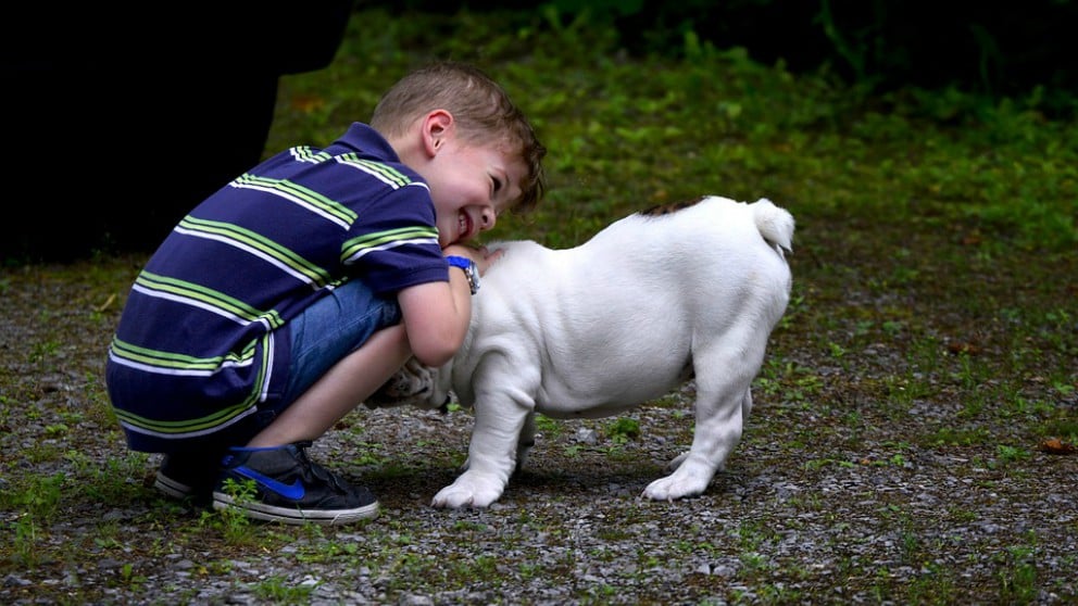 Ventajas de que los niños estén en contacto con animales.