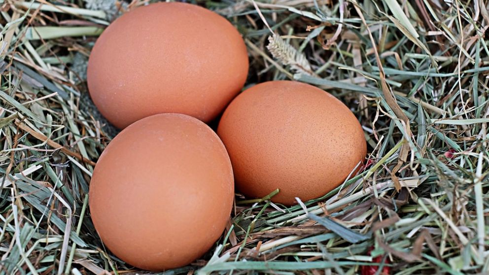 Estas son algunas de las curiosidades más destacadas de los huevos