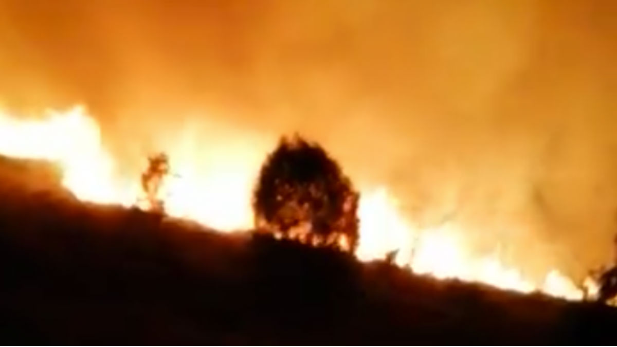 Incendios en Orense (RRSS).