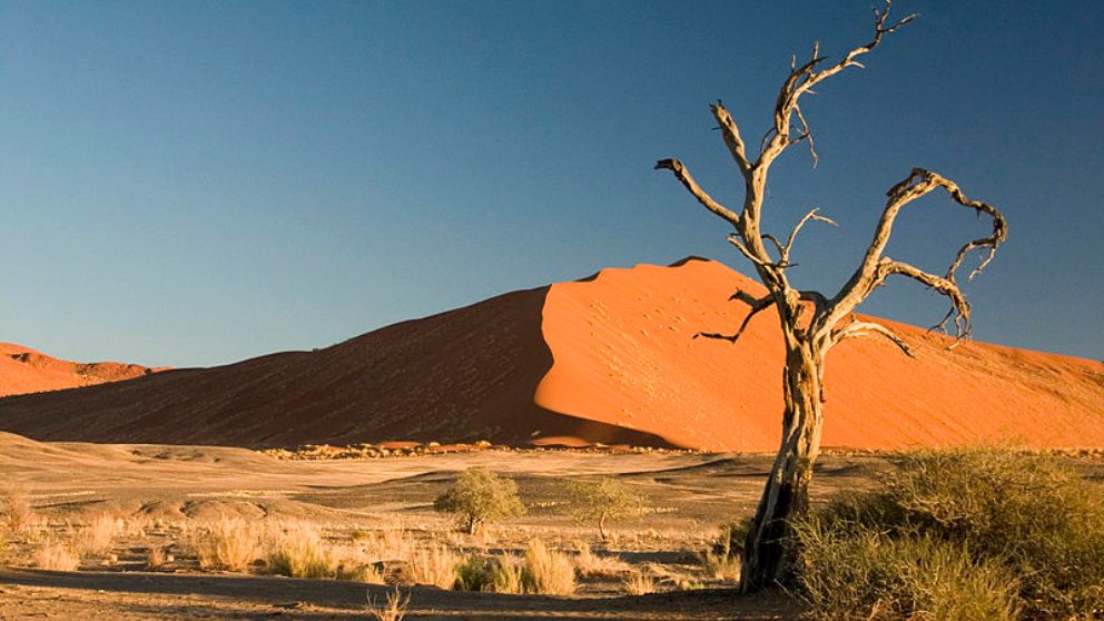 Descubre diversas curiosidades sobre el Desierto del Namib