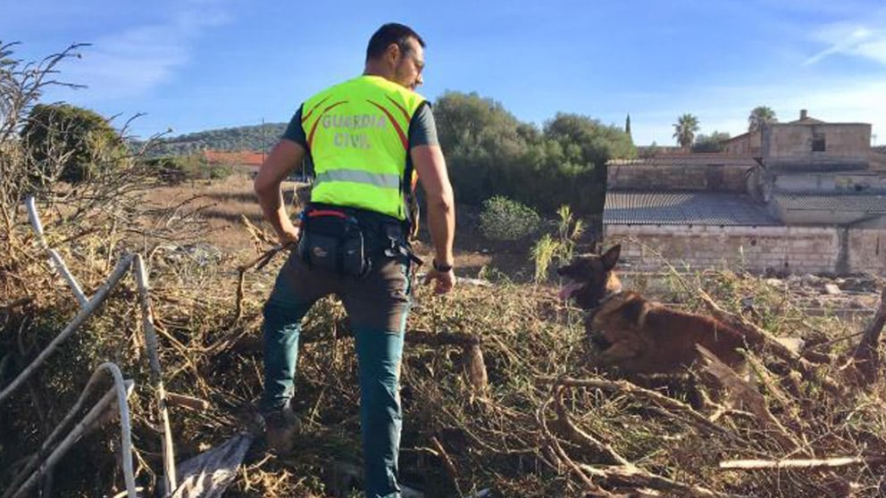 Labores de búsqueda en Mallorca (Foto: 112 Illes Balears)